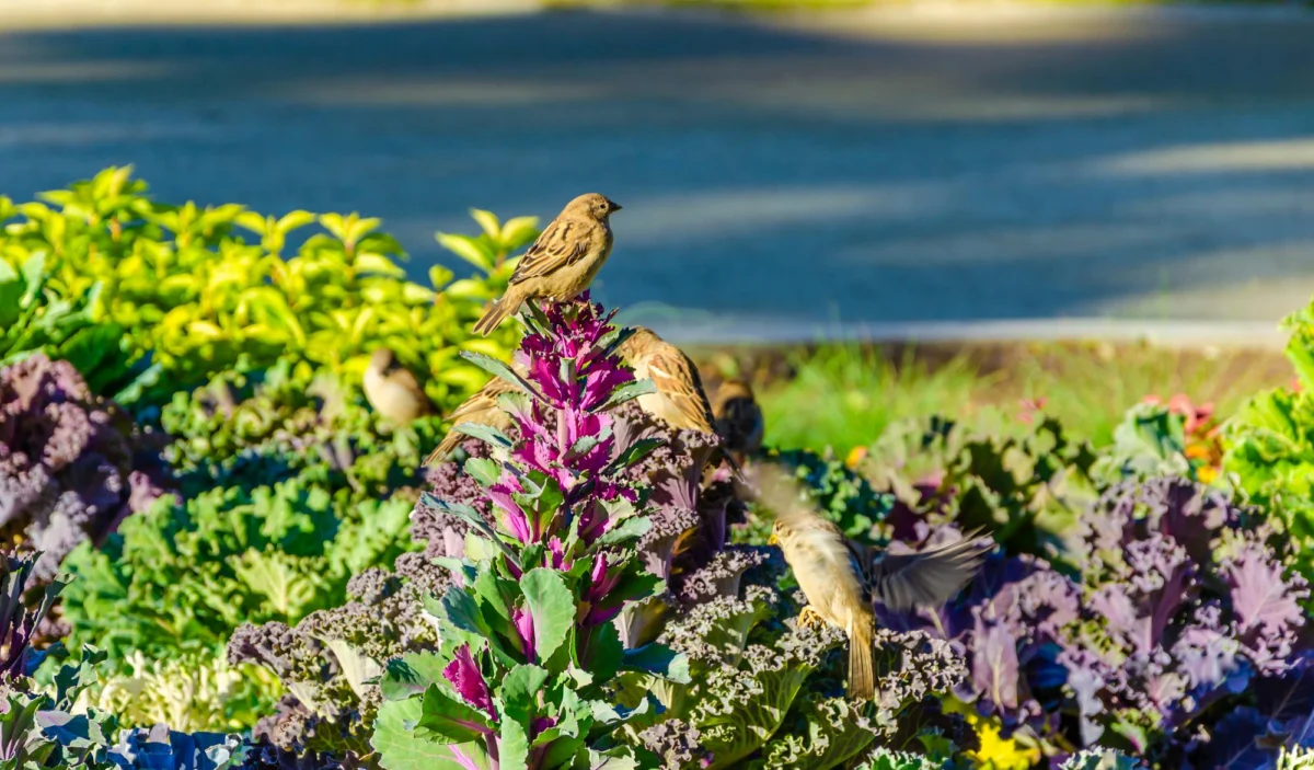 Góry i natura — Park narodowy Kornati Wyspa Ugljan Chorwacja