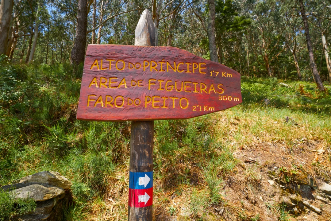 Atrakcje turystyczne — Park Narodowy Lovćen Riwiera Czarnogórska Czarnogóra