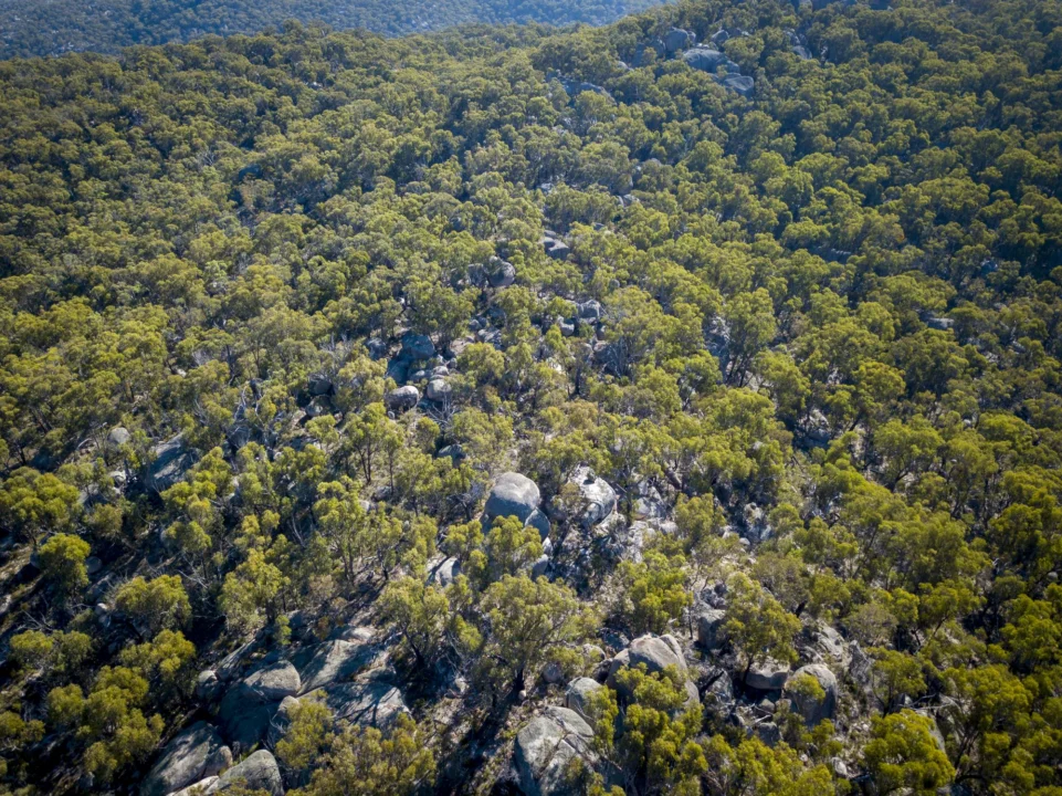 Plaża i wybrzeże — wakacje w Park Narodowy Mljet Wyspa Mljet Chorwacja