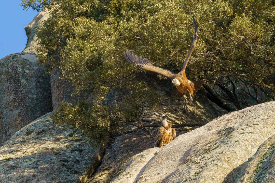 Atrakcje turystyczne — Park Narodowy Olympos Kemer Turcja