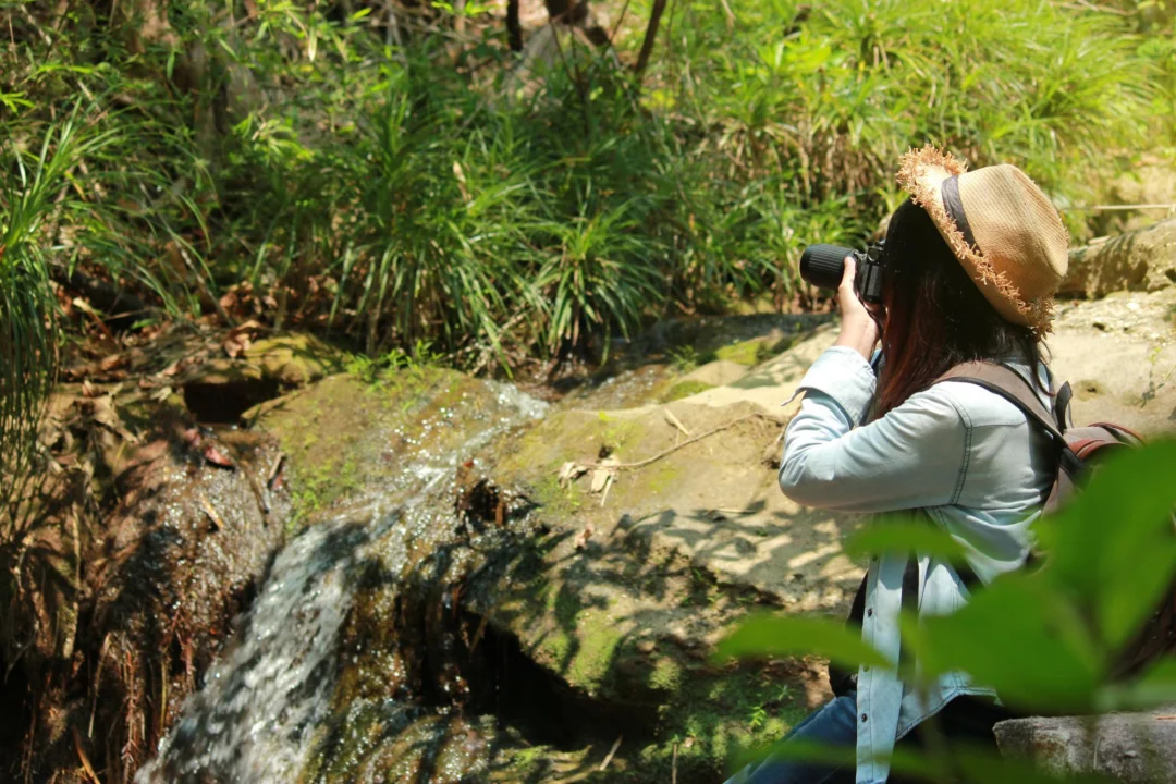 Góry i natura — Park Narodowy Panama Północna Panama Północna Hiszpania