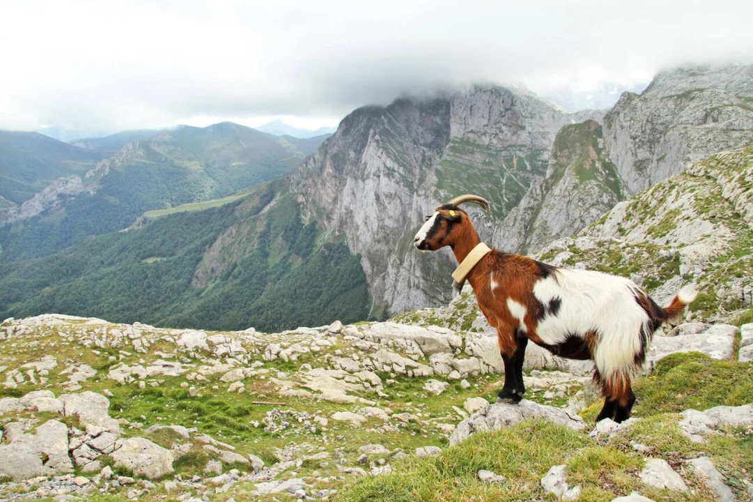 Miasto i architektura — Park Narodowy Picos de Europa Zielone Wybrzeże Hiszpania