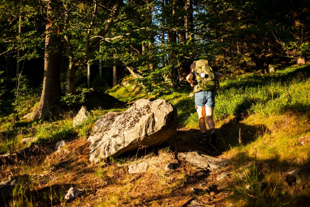 Miasto i architektura — Park Narodowy Šumava Czechy