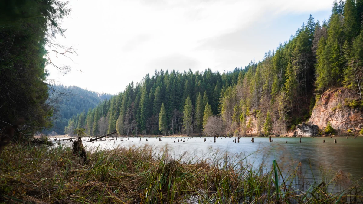 Góry i natura — Park Narodowy Szumawa Szumawy Czechy