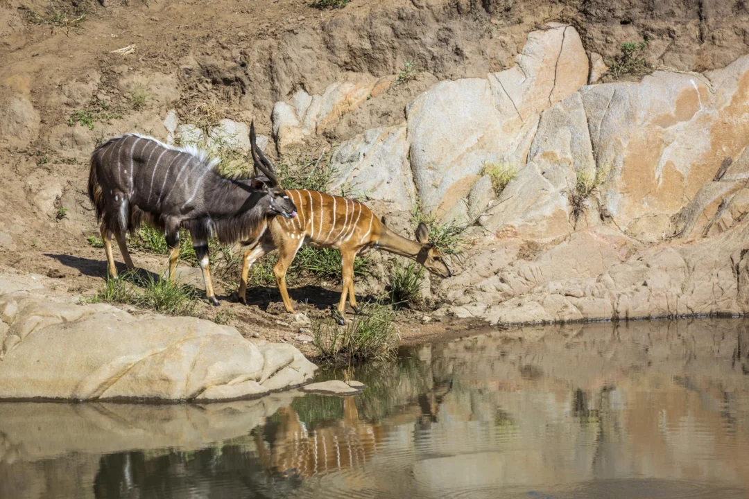 Góry i natura — Park Narodowy Wadi El Gemal Marsa Alam Egipt