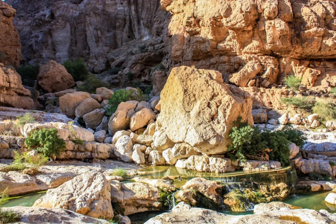 Miasto i architektura — Park Narodowy Wadi El Gemal Marsa Alam Egipt