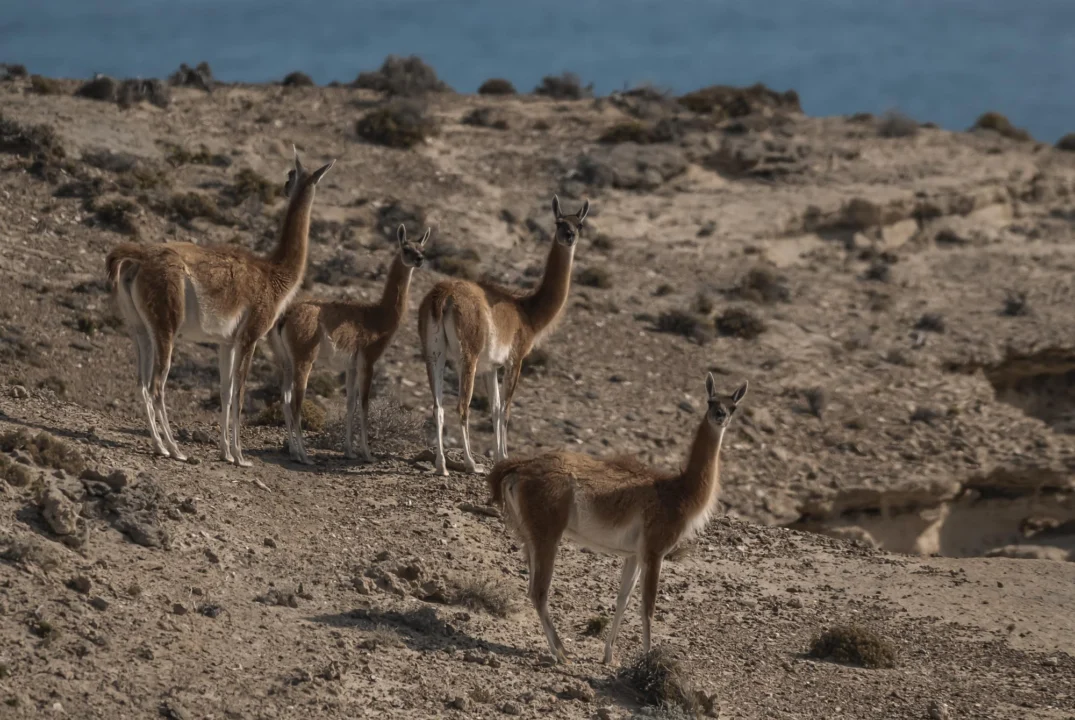 Góry i natura — Park Naturalny Jandía Fuerteventura Hiszpania
