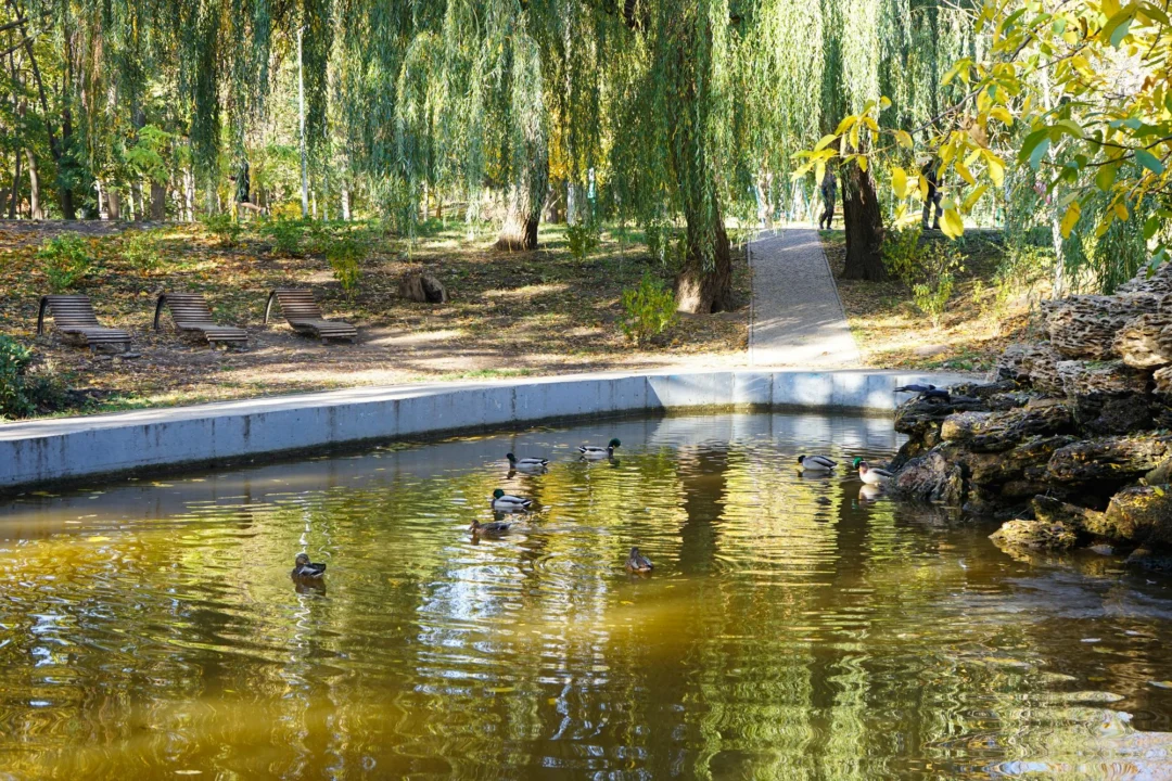 Atrakcje turystyczne — Park Oliwski Trójmiasto Polska