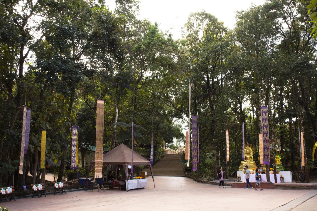 Miasto i architektura — Park Oliwski Trójmiasto Polska