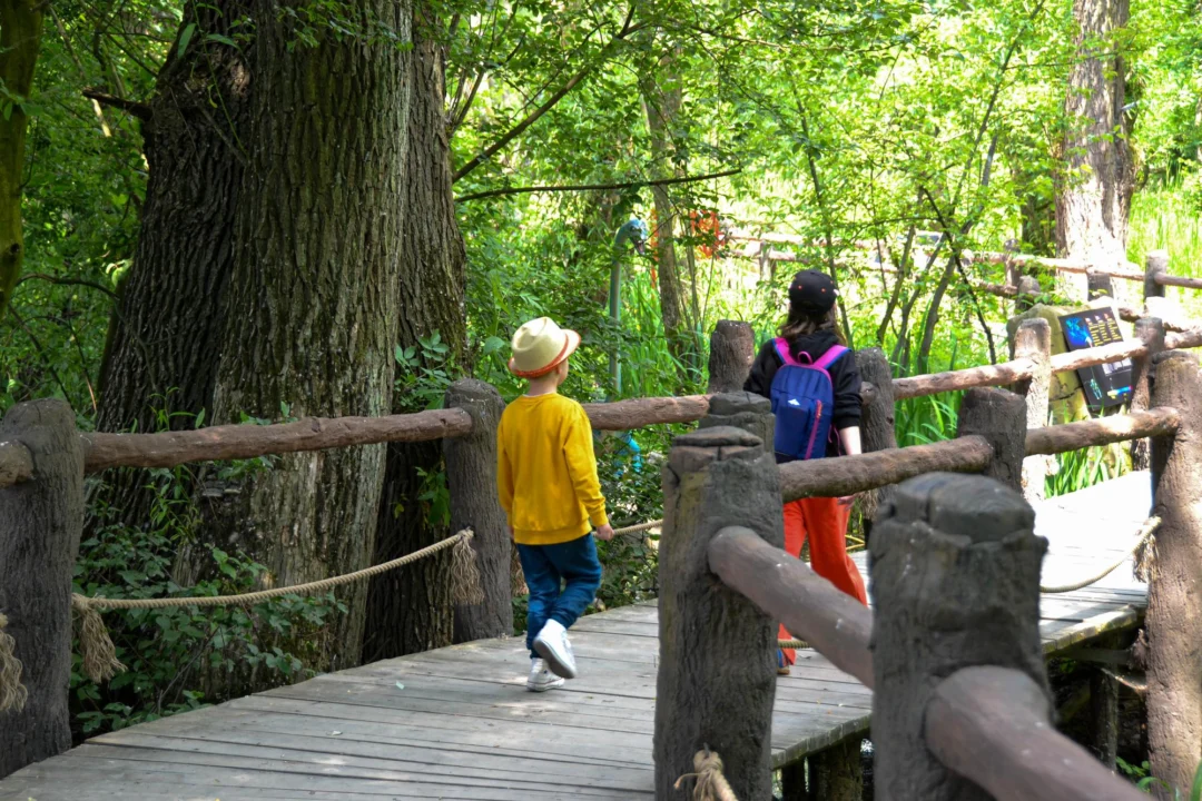 Góry i natura — Park Przyrody Punat Wyspa Krk Chorwacja