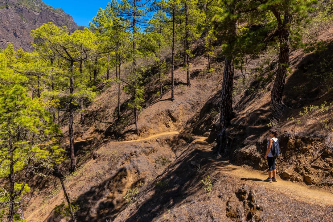 Góry i natura — Parque Nacional de la Caldera de Taburiente La Palma Hiszpania