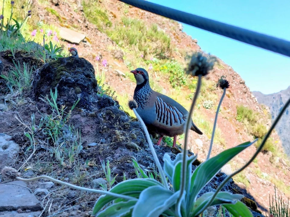 Atrakcje turystyczne — Parque Nacional de la Caldera de Taburiente La Palma Hiszpania