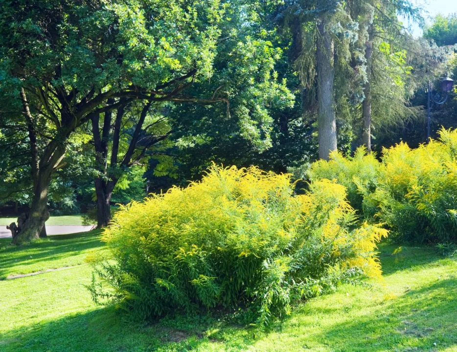 Plaża i wybrzeże — wakacje w Planty Kraków Polska