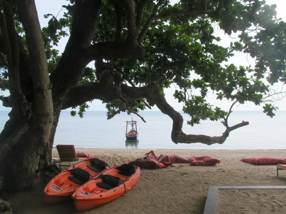 Góry i natura — Plaża Fig Tree Cypr