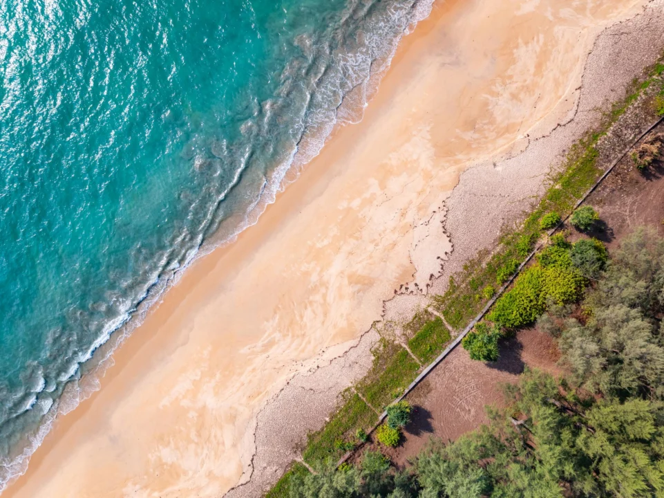Plaża i wybrzeże — wakacje w Plaża Patara Dalaman - Fethiye Turcja