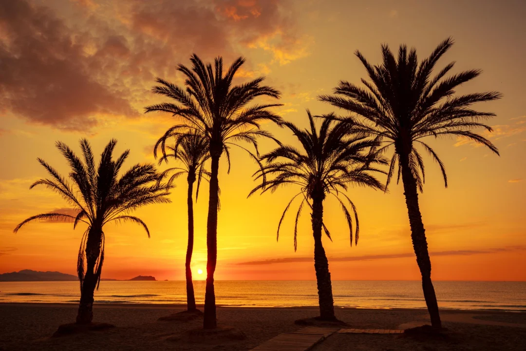 Góry i natura — Plaża San Juan Costa Blanca Hiszpania