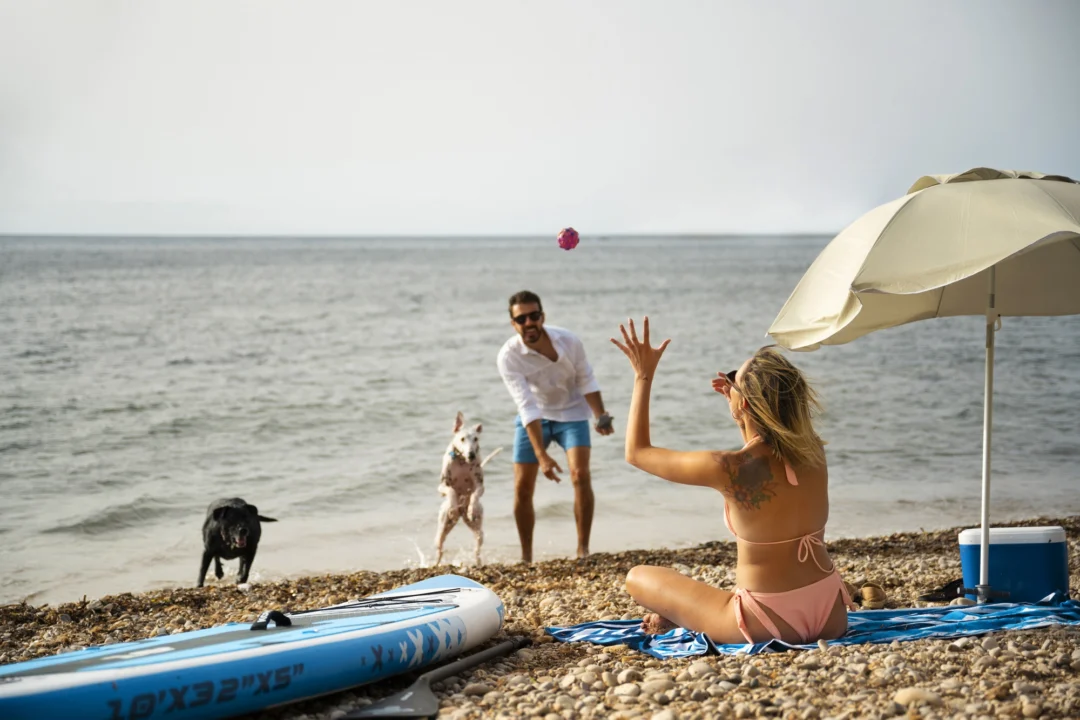 Góry i natura — Plaża w Nicei Nicea Francja