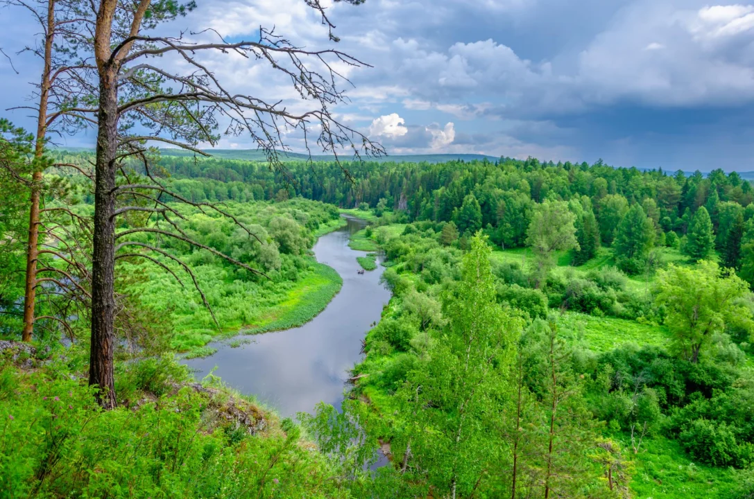 Góry i natura — Podlasie Polska