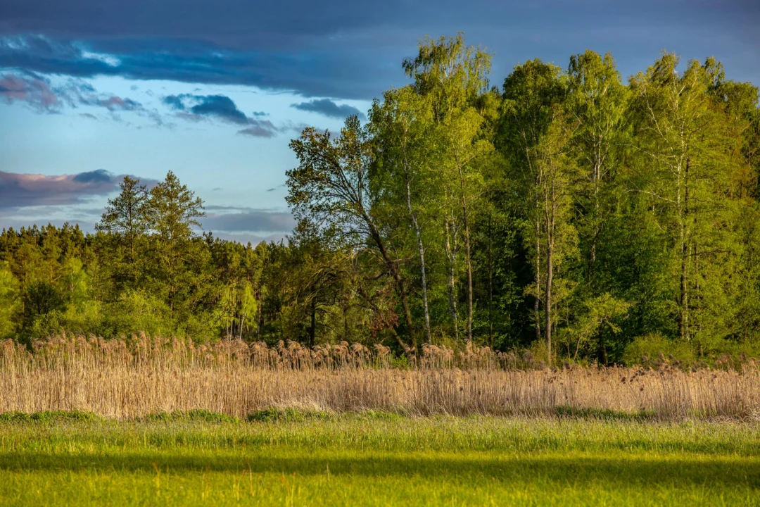 Kurort i widoki — Podlasie Polska