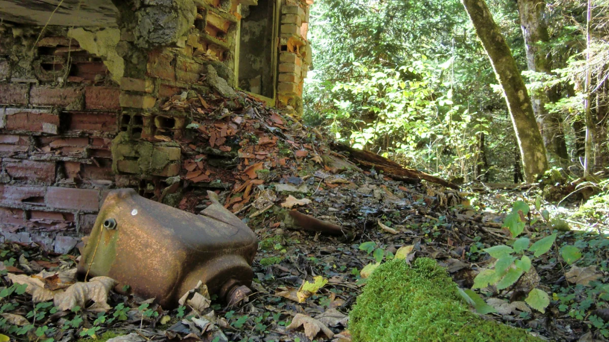 Góry i natura — Pogórze Karpackie Polska
