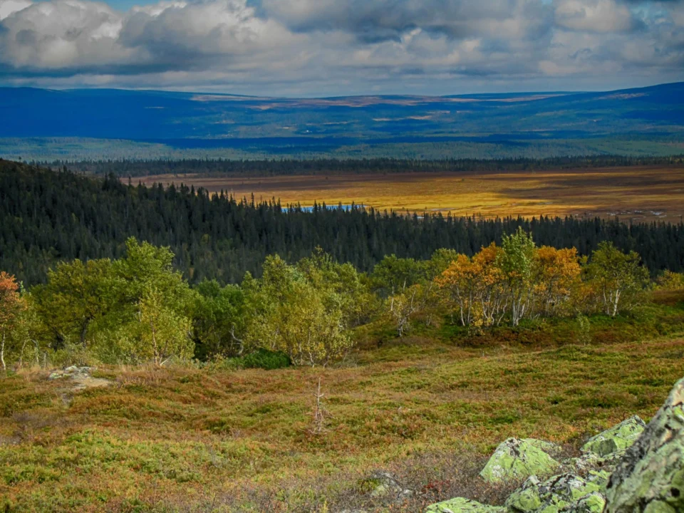 Góry i natura — Polesie Polska