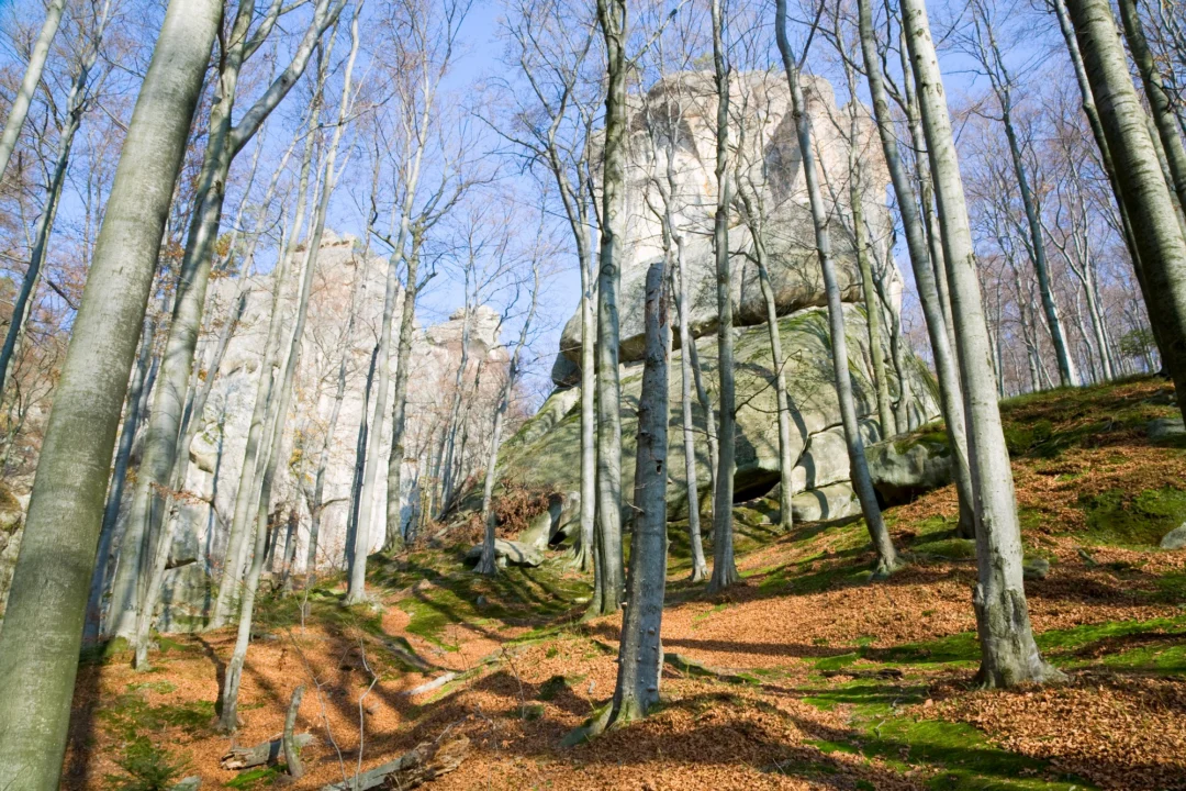 Góry i natura — Pustynia Błędowska Jura Krakowska Polska