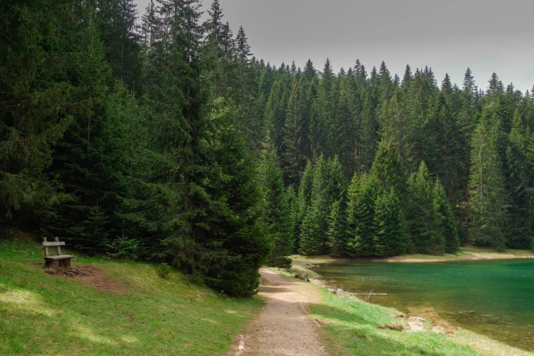 Plaża i wybrzeże — wakacje w Puszcza Knyszyńska Podlasie Polska