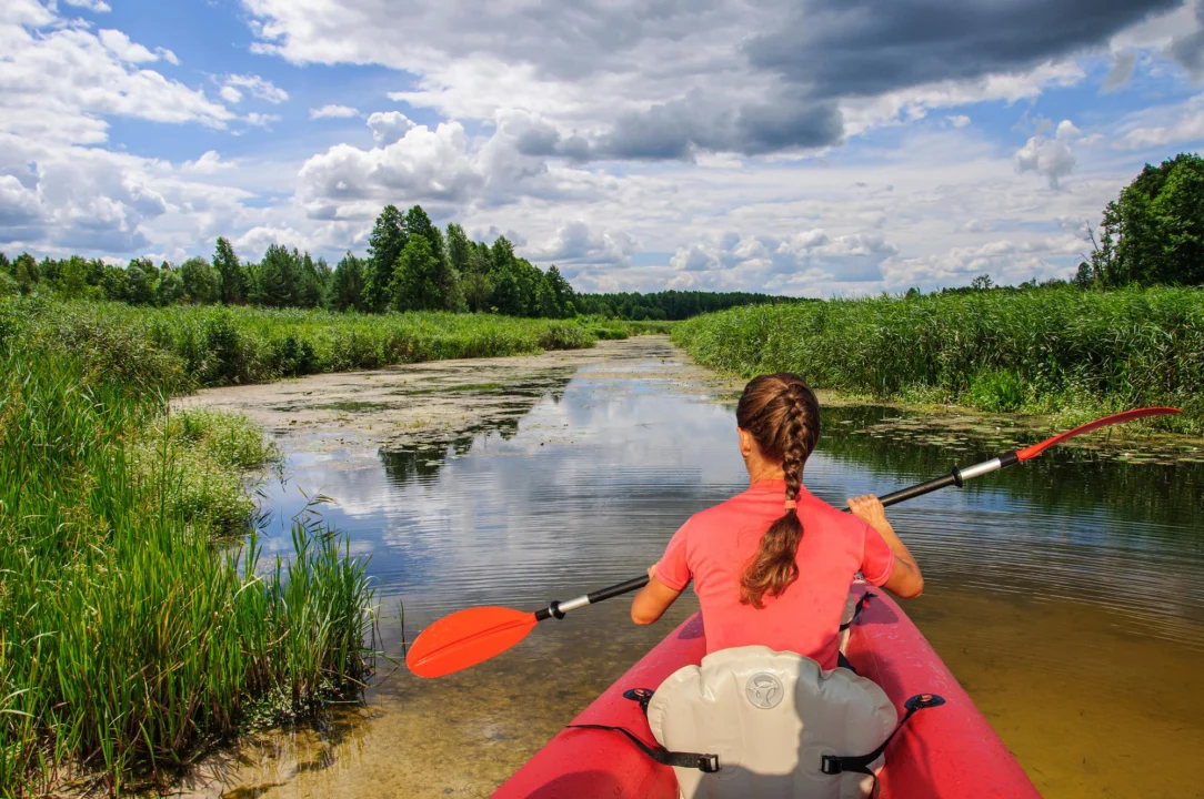 Góry i natura — Puszcza Knyszyńska Podlasie Polska