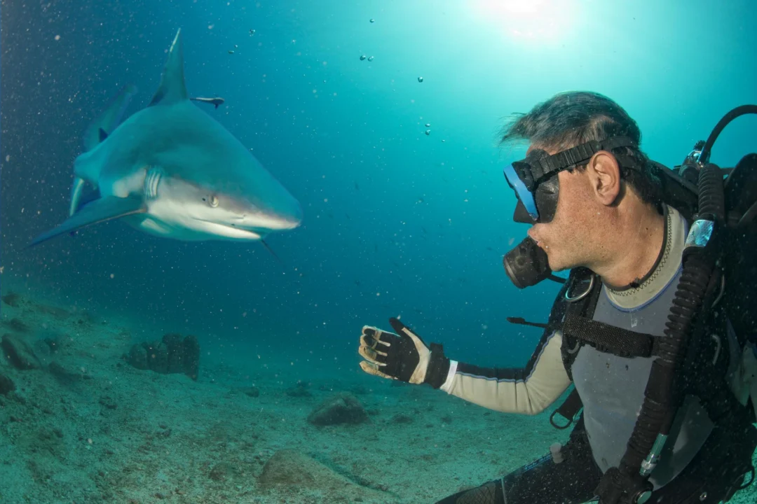 Atrakcje turystyczne — Rafa Korali w Sharks Bay Sharm El Sheikh Egipt