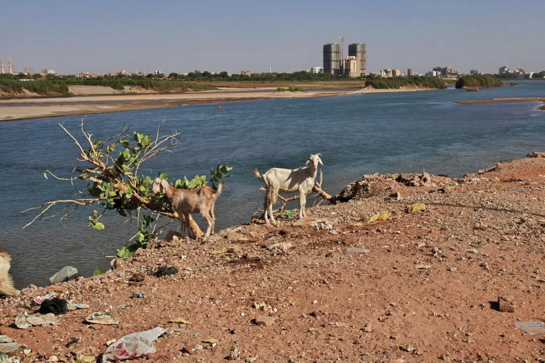 Miasto i architektura — Rezerwat Abu Galoum Dahab Egipt