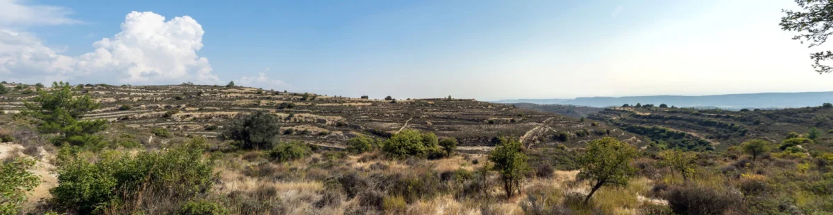 Plaża i wybrzeże — wakacje w Rezerwat Przyrody Akamas Pafos Cypr