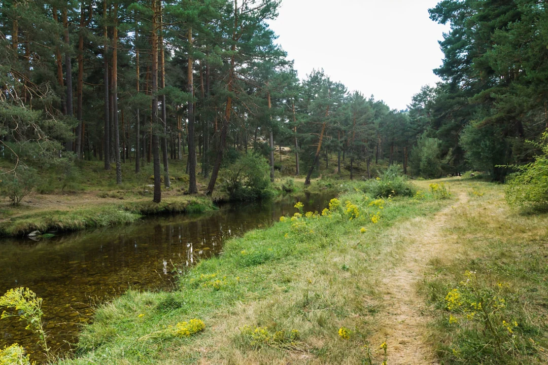 Góry i natura — Rezerwat przyrody "Biała Woda" Beskid Niski Polska