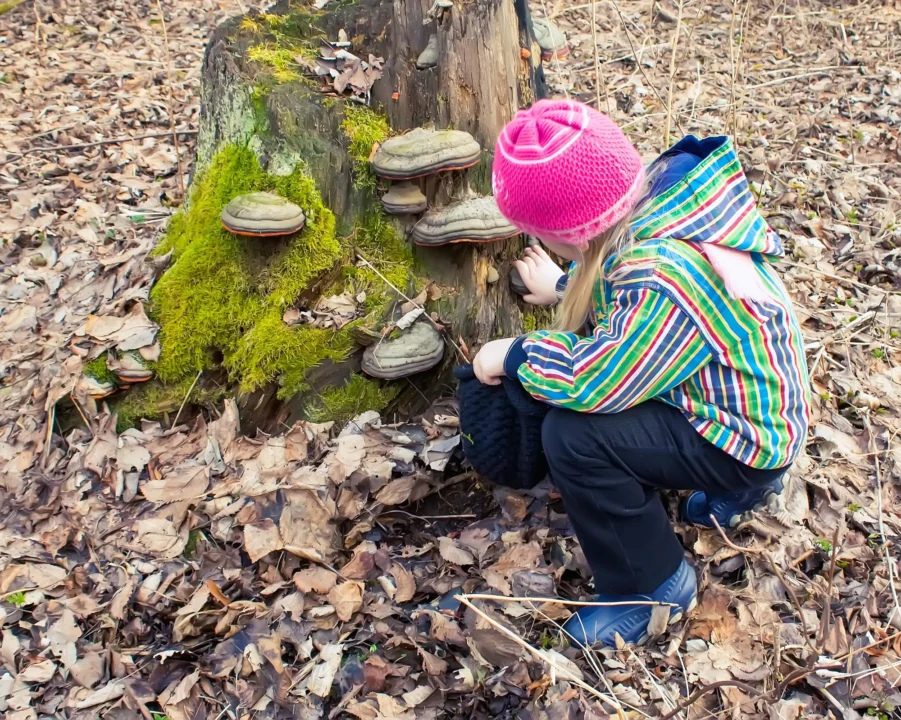 Góry i natura — Rezerwat przyrody „Czarny Staw” Polesie Polska
