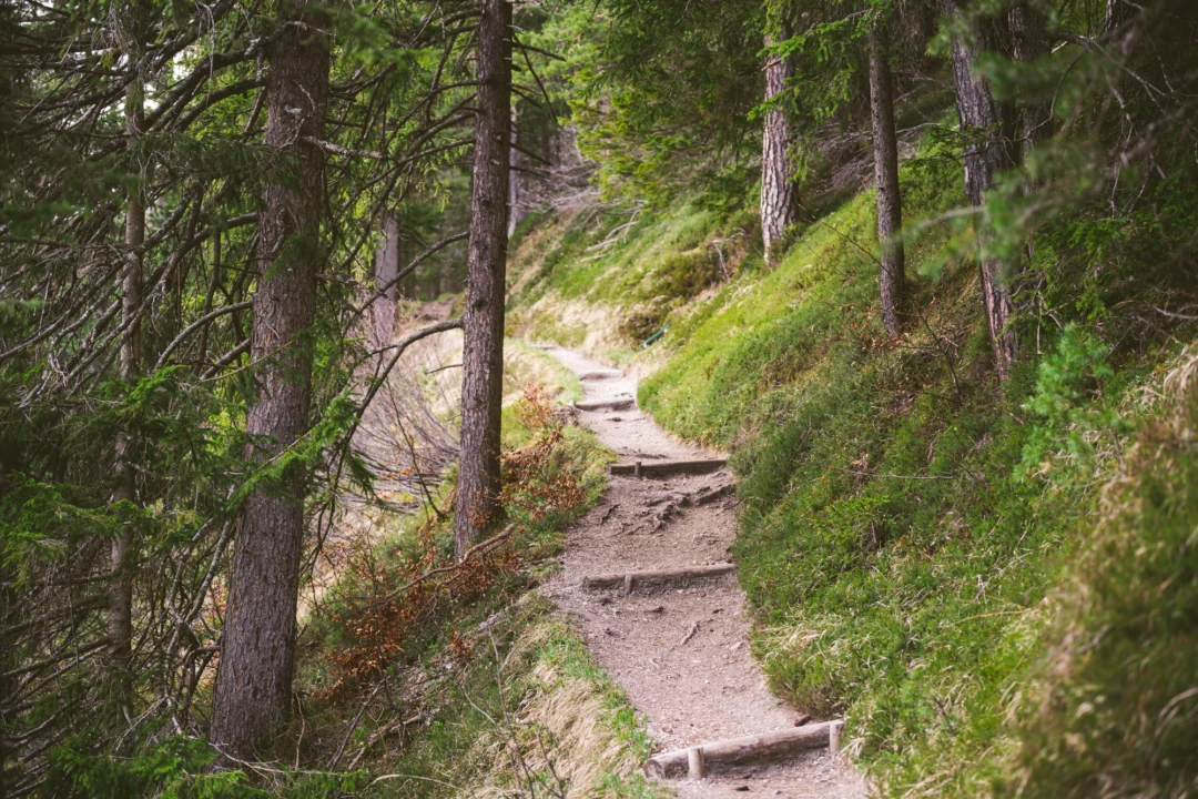 Góry i natura — Rezerwat przyrody Góra Szwedów Kujawy i Żuławy Polska
