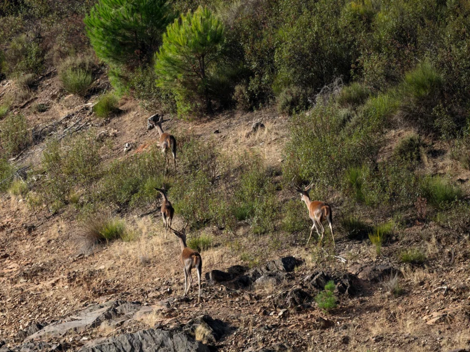 Góry i natura — Rezerwat przyrody La Breña Costa de la Luz Hiszpania