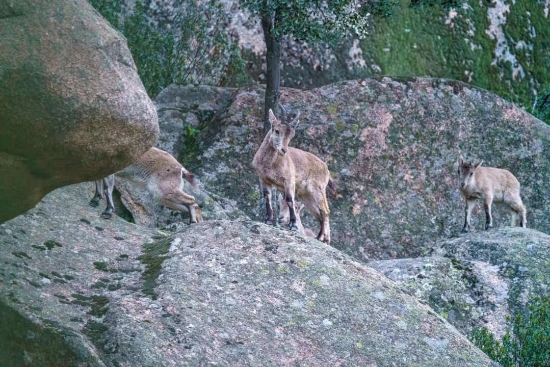 Góry i natura — Rezerwat Przyrody Velebit Wyspa Pag Chorwacja