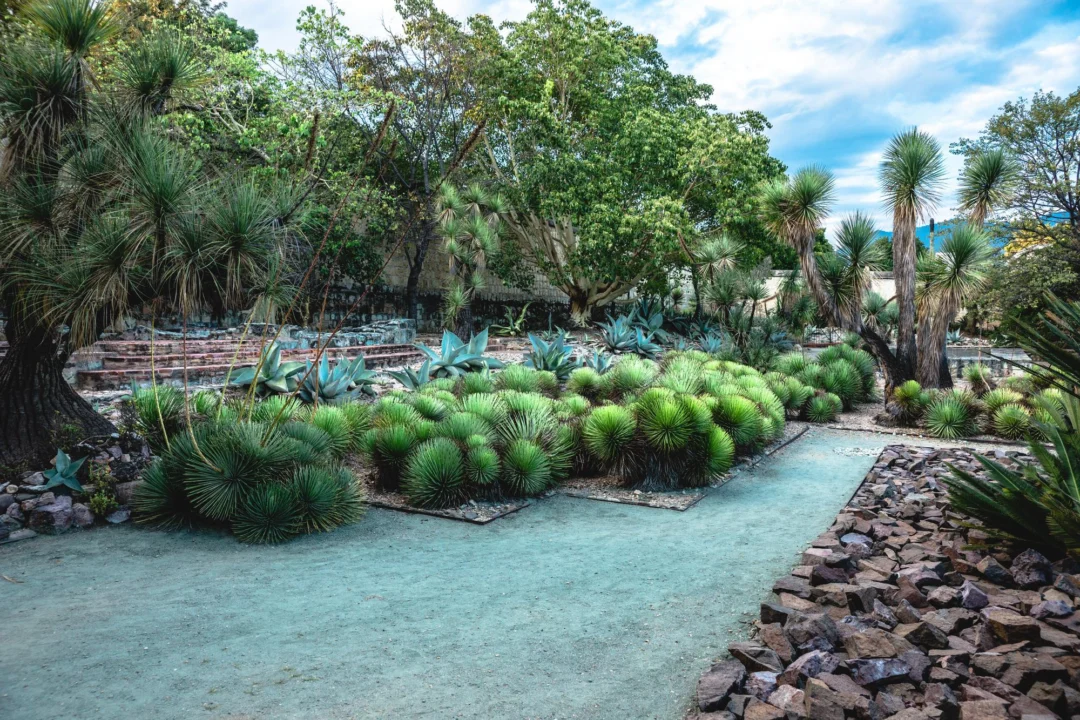 Kurort i widoki — Riviera Maya Hiszpania