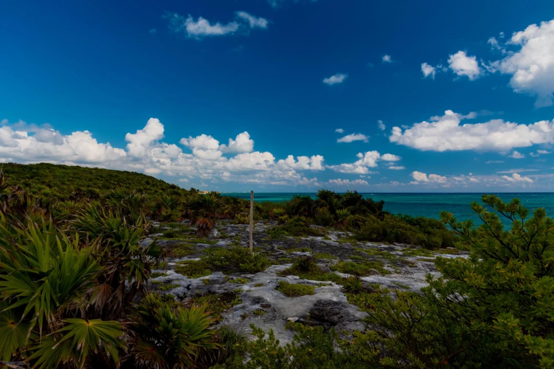 Plaża i wybrzeże — wakacje w Riviera Maya Hiszpania