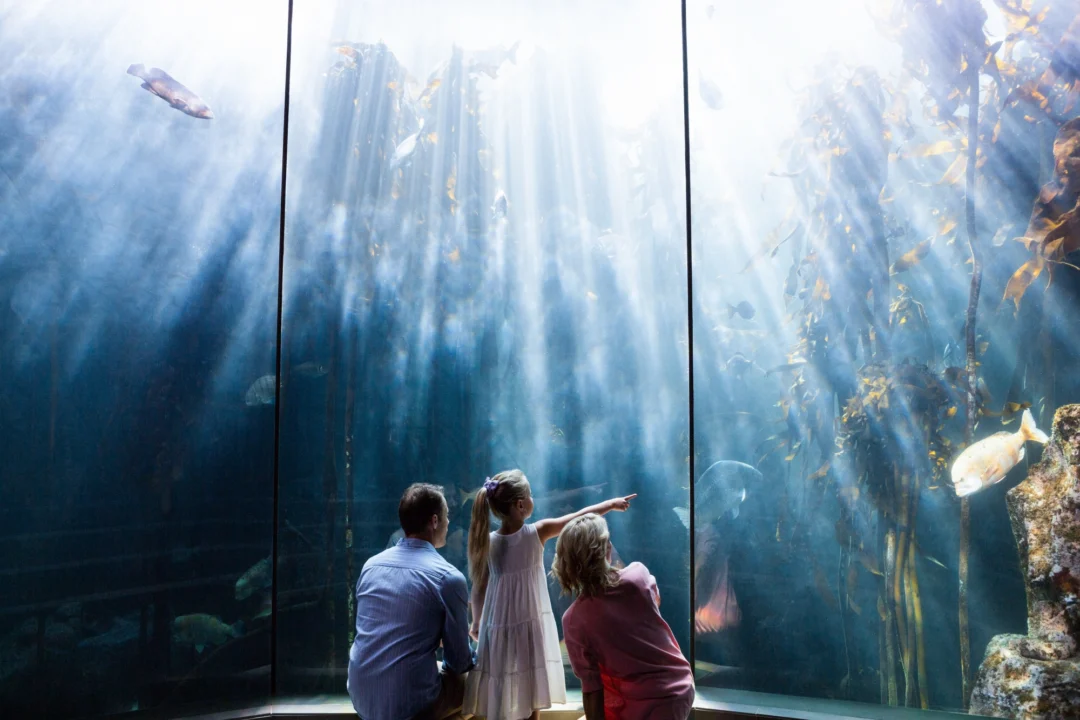 Miasto i architektura — Rodos Aquarium Rodos Grecja