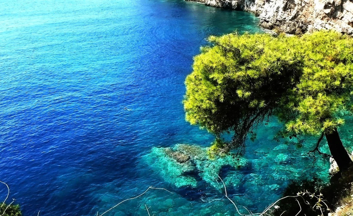 Góry i natura — Ruiny rzymskiej willi Wyspa Mljet Chorwacja