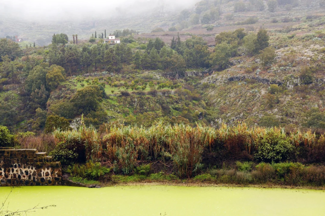 Góry i natura — San Pedro del Pinatar Costa Calida Hiszpania