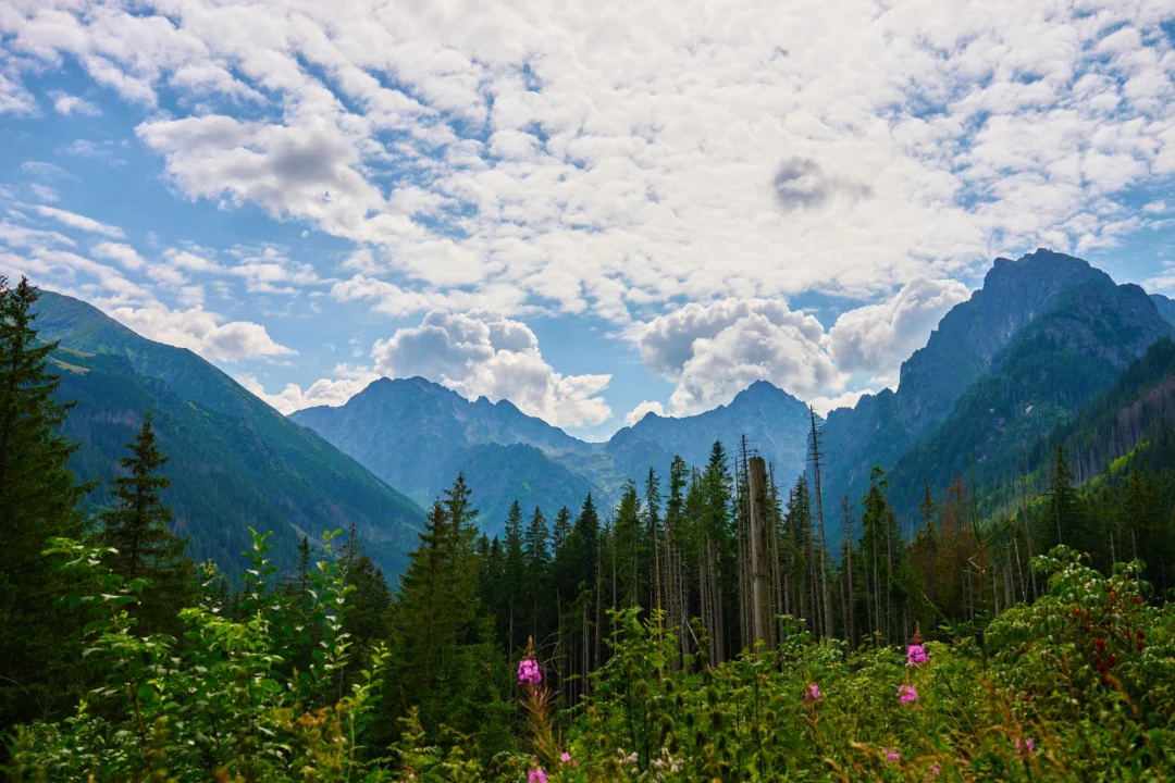 Góry i natura — Sanktuarium w Ludźmierzu Tatry i Podhale Polska