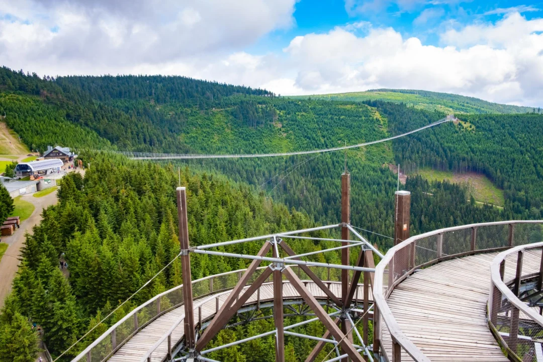 Góry i natura — Ścieżka w koronach drzew — przygoda w naturze Beskidy Zachodnie Polska