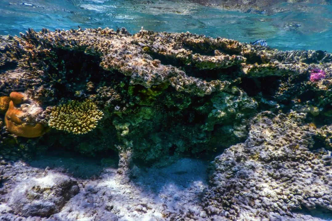 Góry i natura — Sharm El Sheikh Egipt