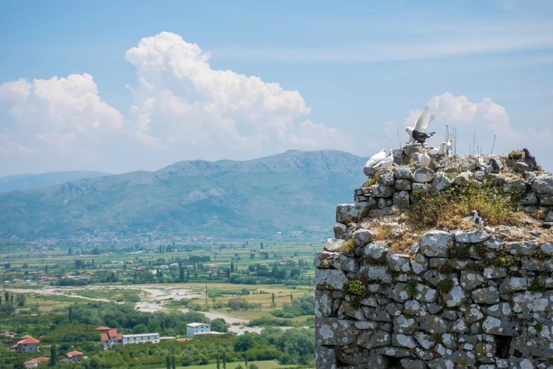 Plaża i wybrzeże — wakacje w Shkodra Albania