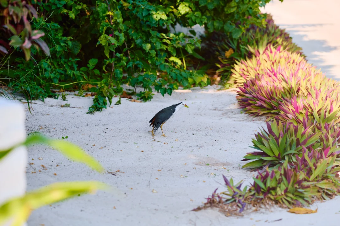 Góry i natura — Sian Ka'an Biosphere Reserve Riviera Maya Hiszpania