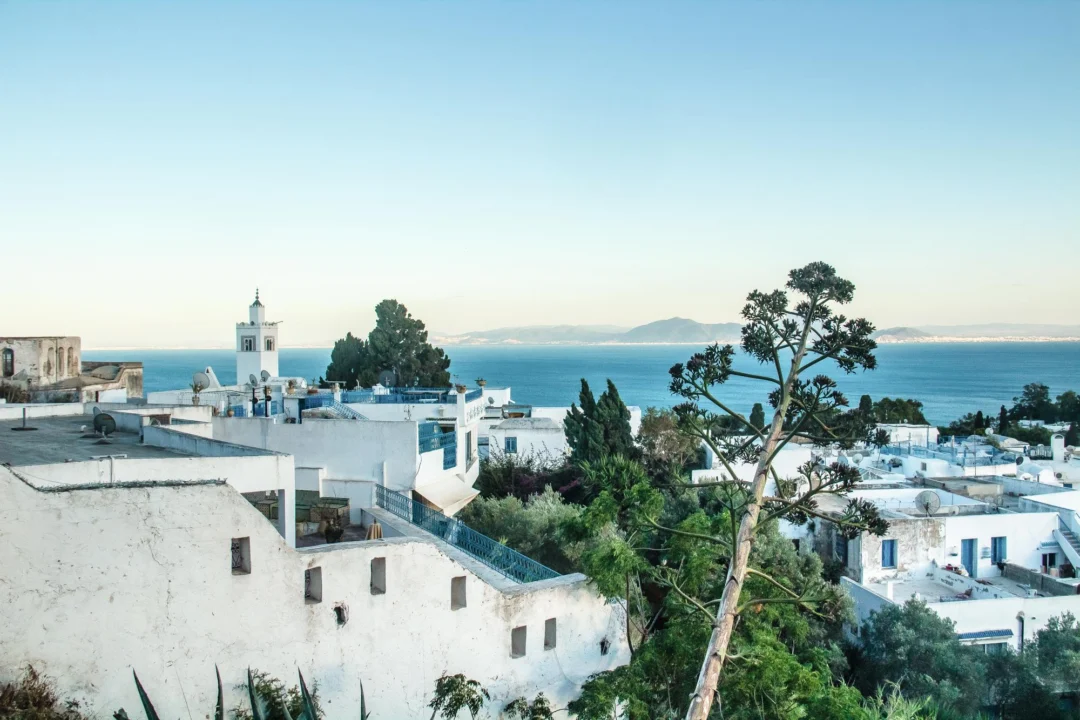 Góry i natura — Sidi Bou Said Tunezja