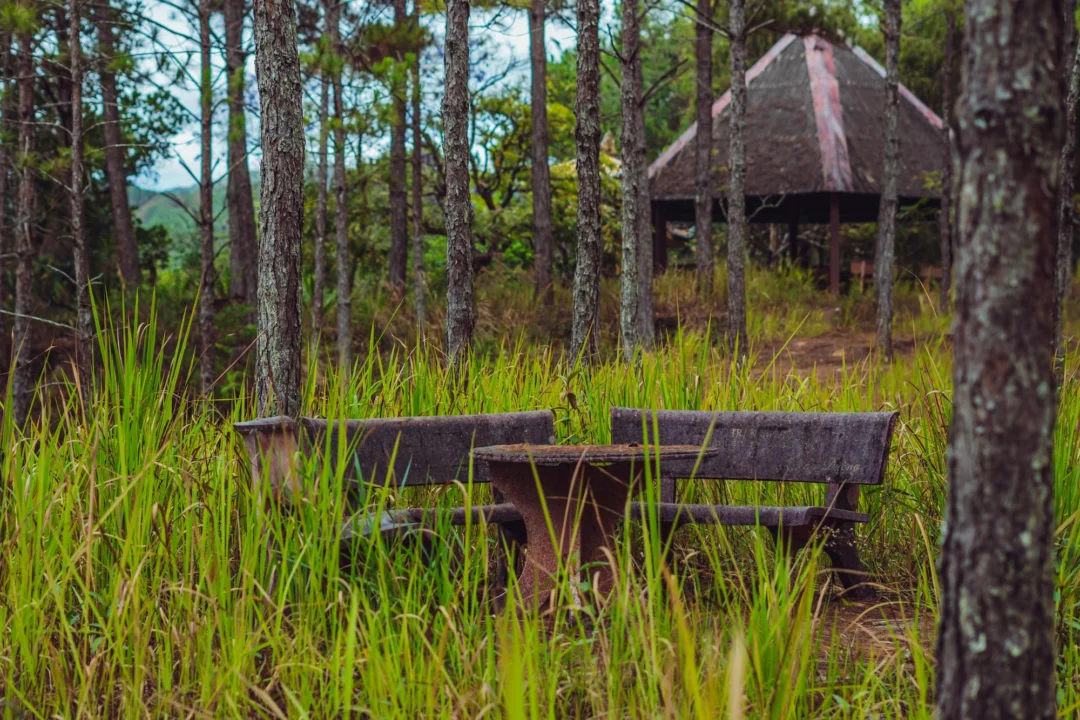 Atrakcje turystyczne — Sila National Park Kalabria Włochy