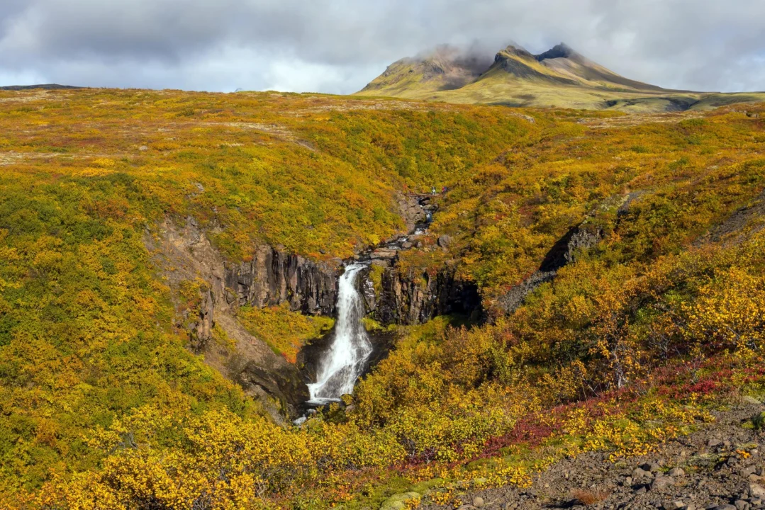 Plaża i wybrzeże — wakacje w Skaftafell Islandia