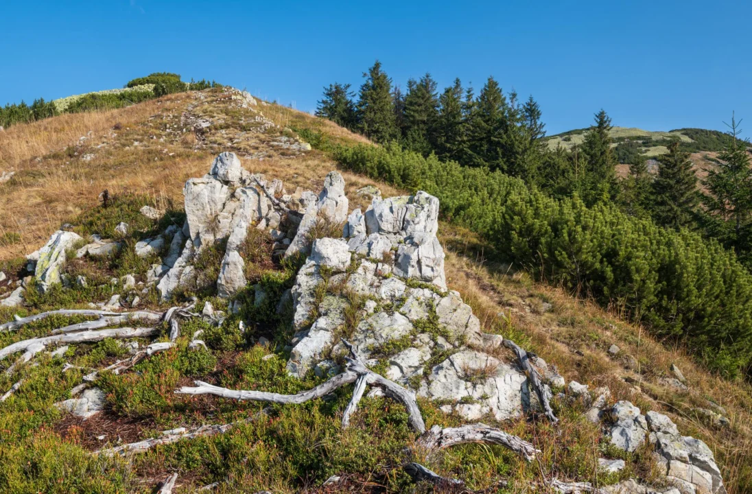 Góry i natura — Skała Dmuchawiec Jura Krakowska Polska